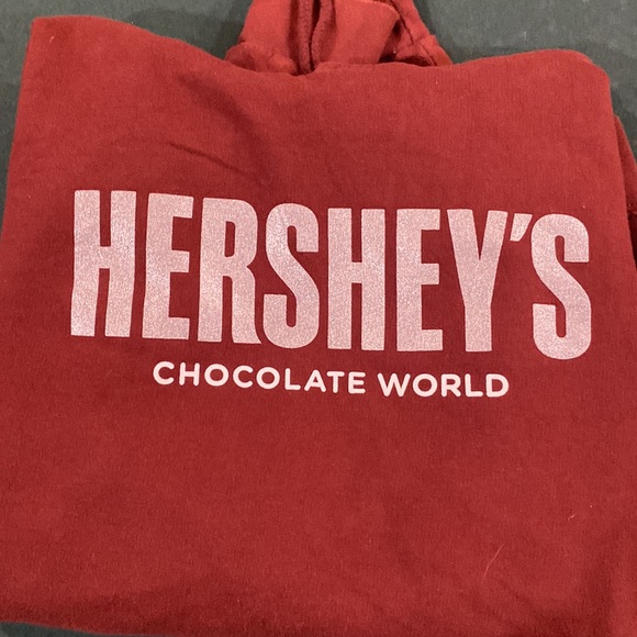 Vintage 90s Hersheys Chocolate World Hoodie Brown Size S - Picture 5 of 5